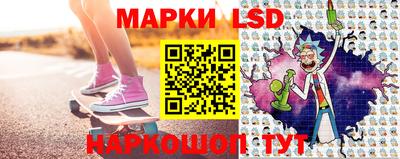 прущие грибы Будённовск