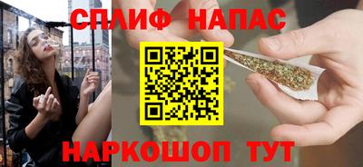 прущие грибы Будённовск