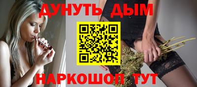 прущие грибы Будённовск