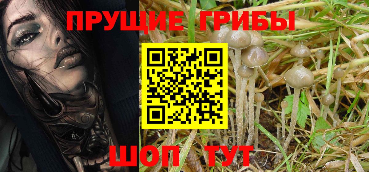дарнет шоп  Галлюциногенные грибы MAGIC MUSHROOMS  Вход с VPN  Челябинск 